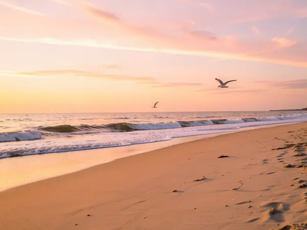 Seebestattung Ostsee Ostsee bei Sonnenaufgang